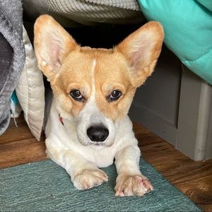 Meet your Posher, Michele on